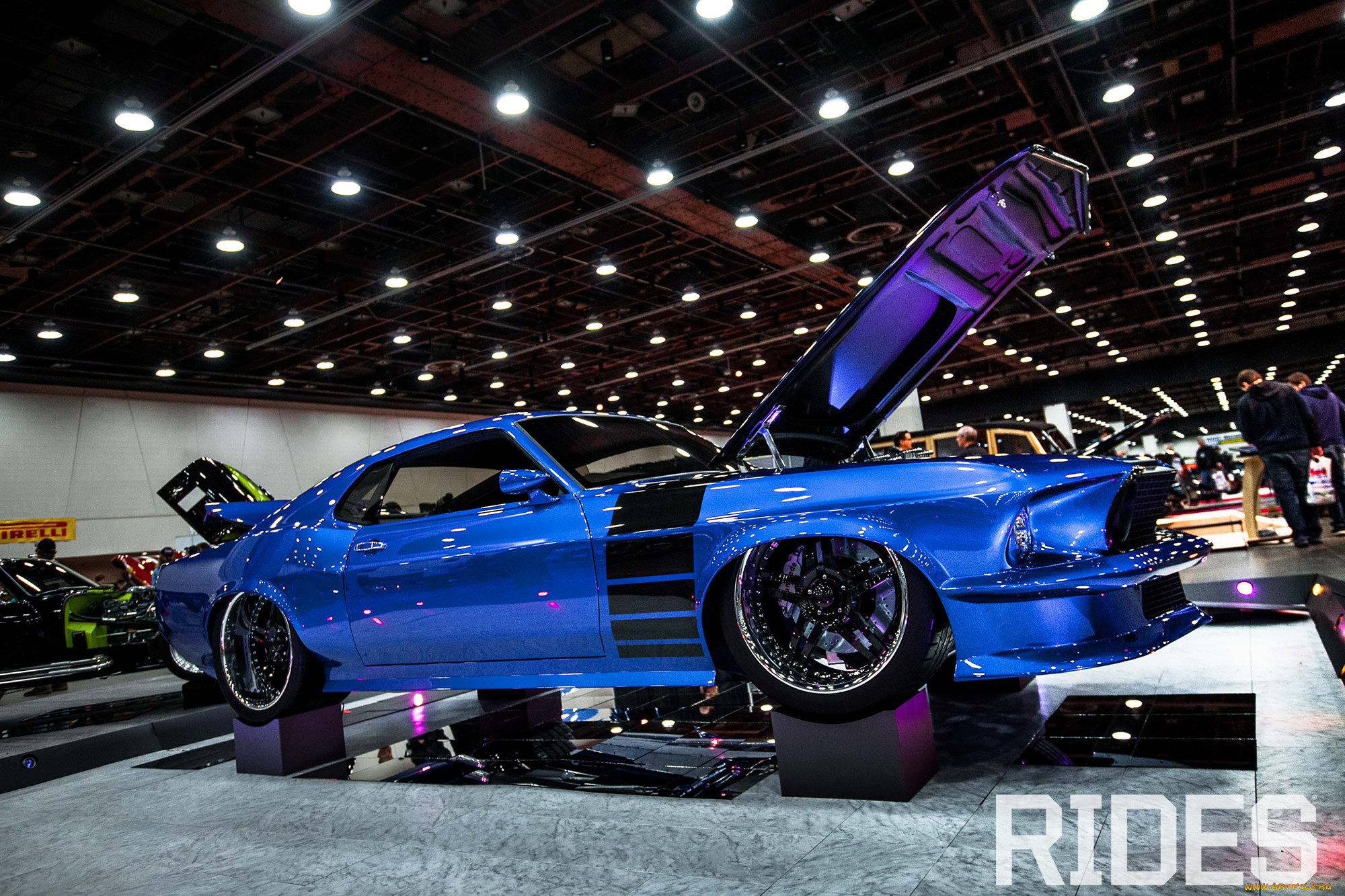 ,    , mustang